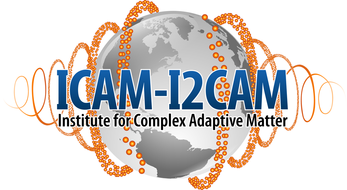 Icam. ICAM – I. ICAM logo. Конференция ICAM лого.